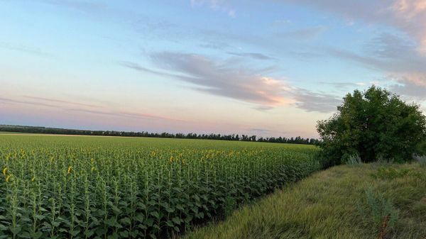 Украина Бердянск