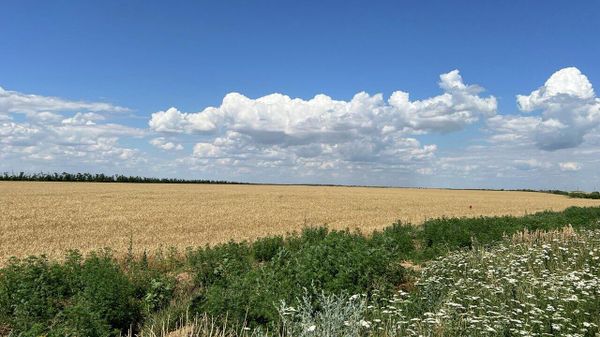 Украина Бердянск