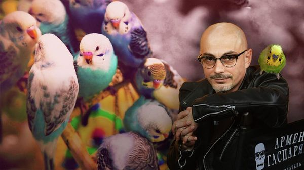 Гаспарян: как Коломойский отомстит Зеленскому и почему Харьков - проклятое место. Видео
