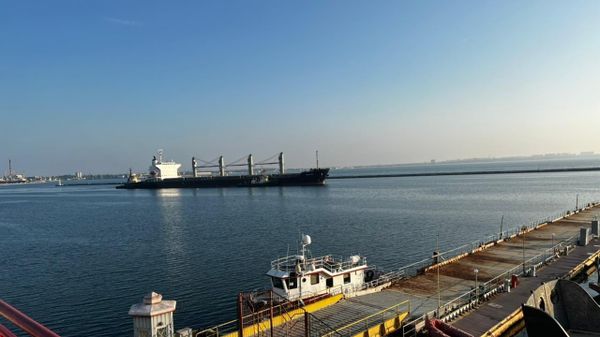 зерно судно порт Украина
