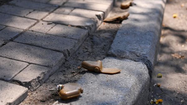 Разминирование в центре Донецка