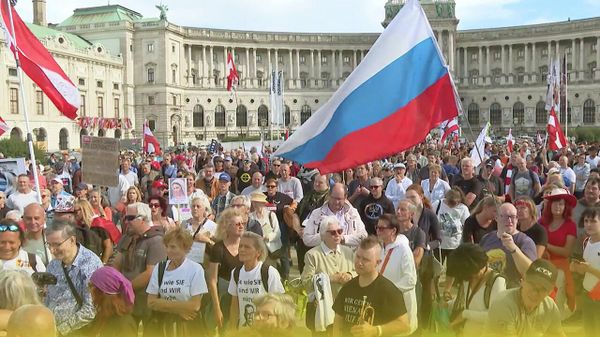 Из-за актера Зеленского мы стреляем себе в оба колена: в Австрии бунт