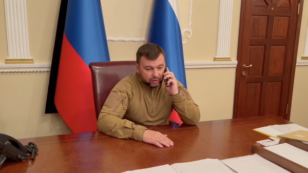 Глава ДНР Денис Пушилин