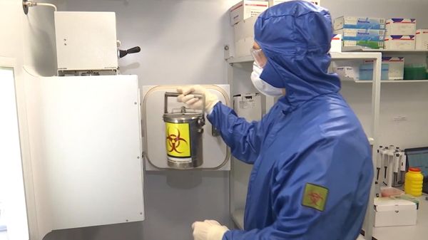 Работа российской полевой биолаборатории в Италии