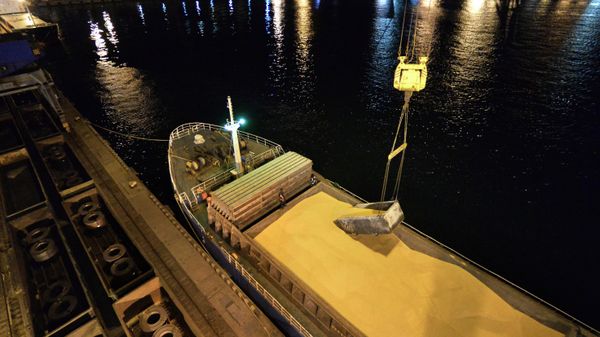 Экспорт российской кукурузы из России в Японию