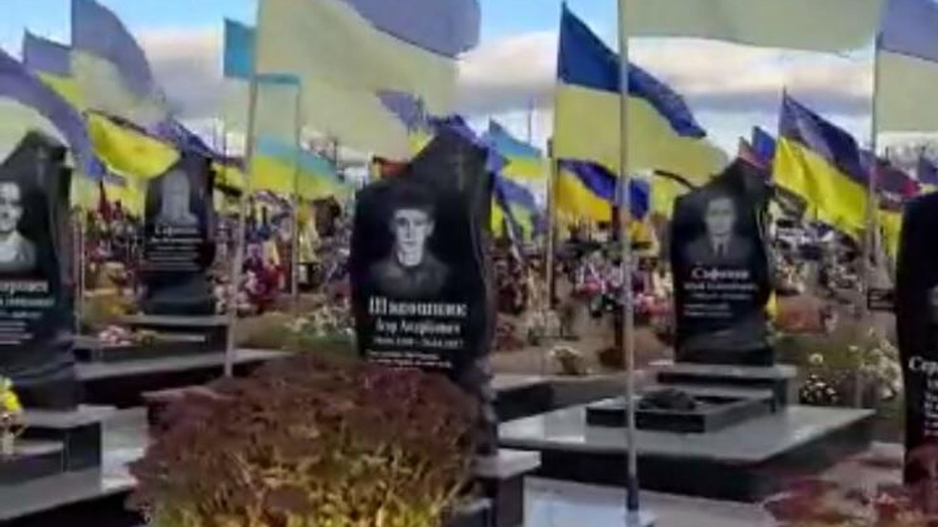 кладбище ВСУ - РИА Новости, 1920, 24.11.2022
