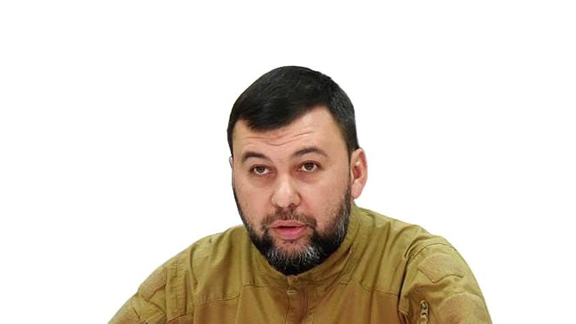 Денис Пушилин интервью - РИА Новости, 1920, 29.11.2022