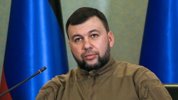 Денис Пушилин