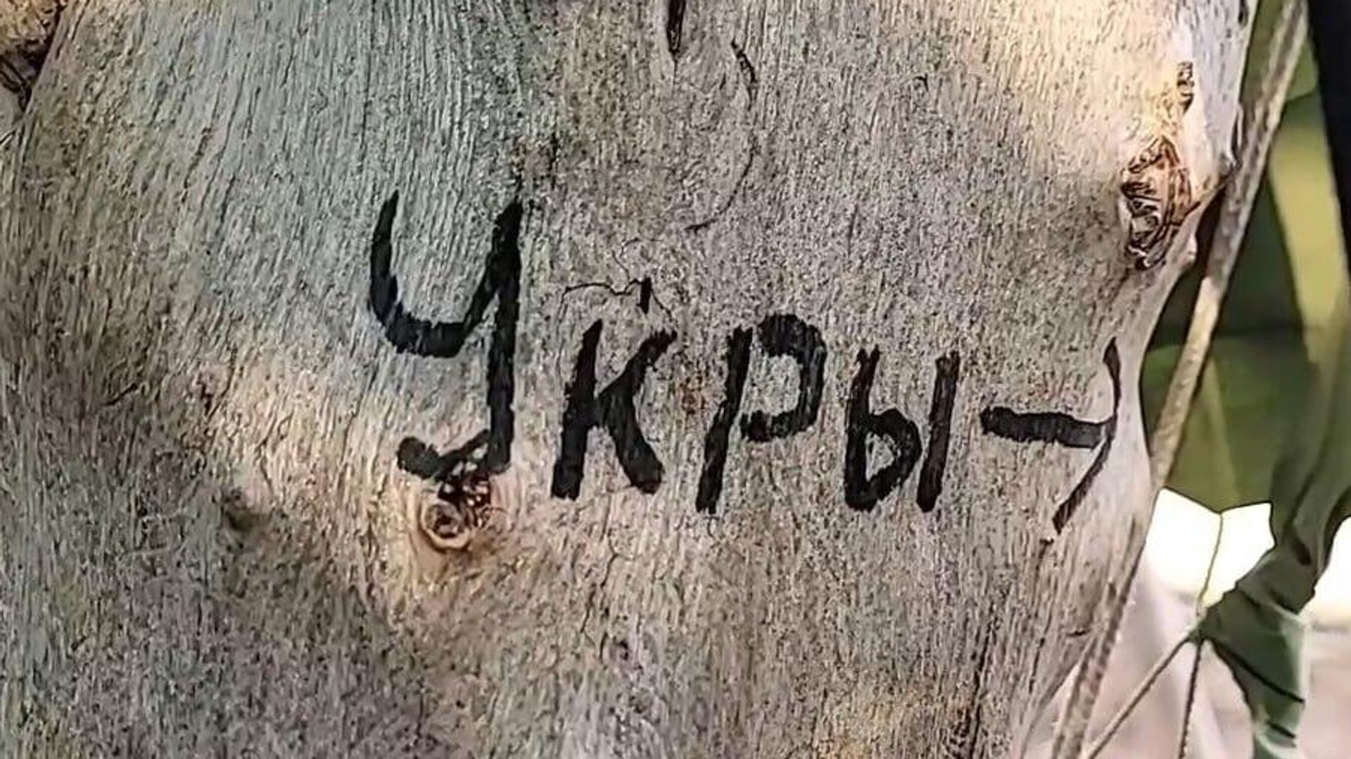 - РИА Новости, 1920, 23.01.2023