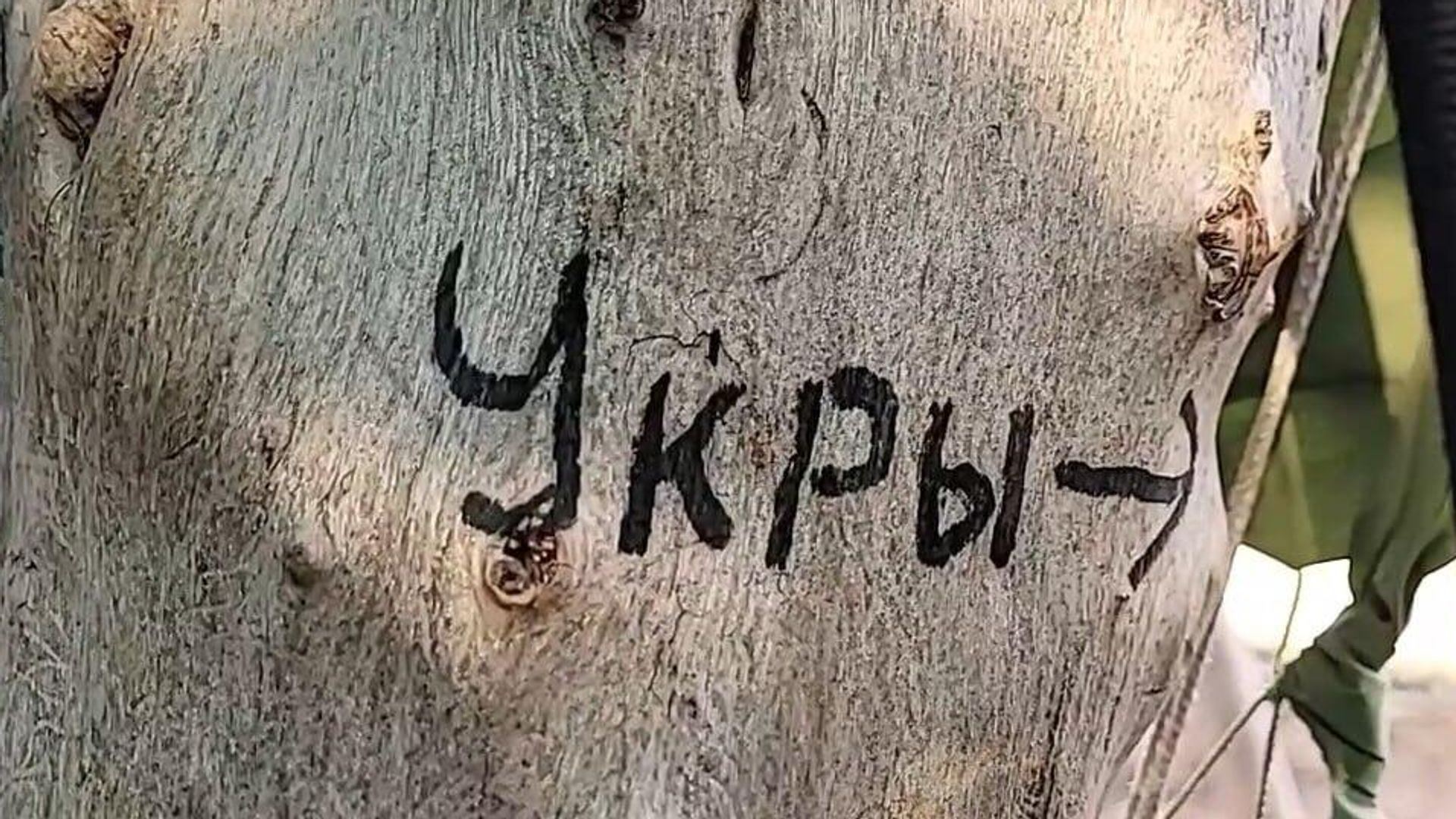  - РИА Новости, 1920, 23.01.2023