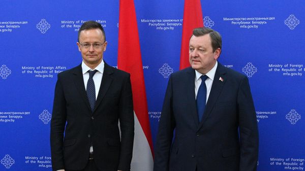 Встреча глав МИД Белоруссии и Венгрии С. Алейника и П. Сийярто