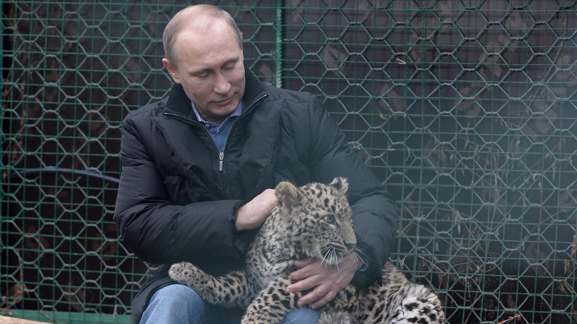В.Путин посетил Центр разведения и реабилитации леопарда в Сочи В.Путин посетил Центр разведения и реабилитации леопарда в Сочи - РИА Новости, 1920, 04.05.2023