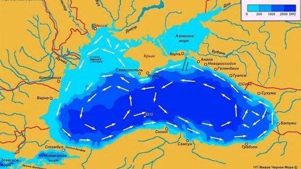 Очки Книповича