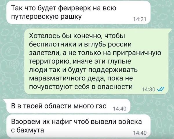 В Угличе ФСБ задержала женщину Переписка