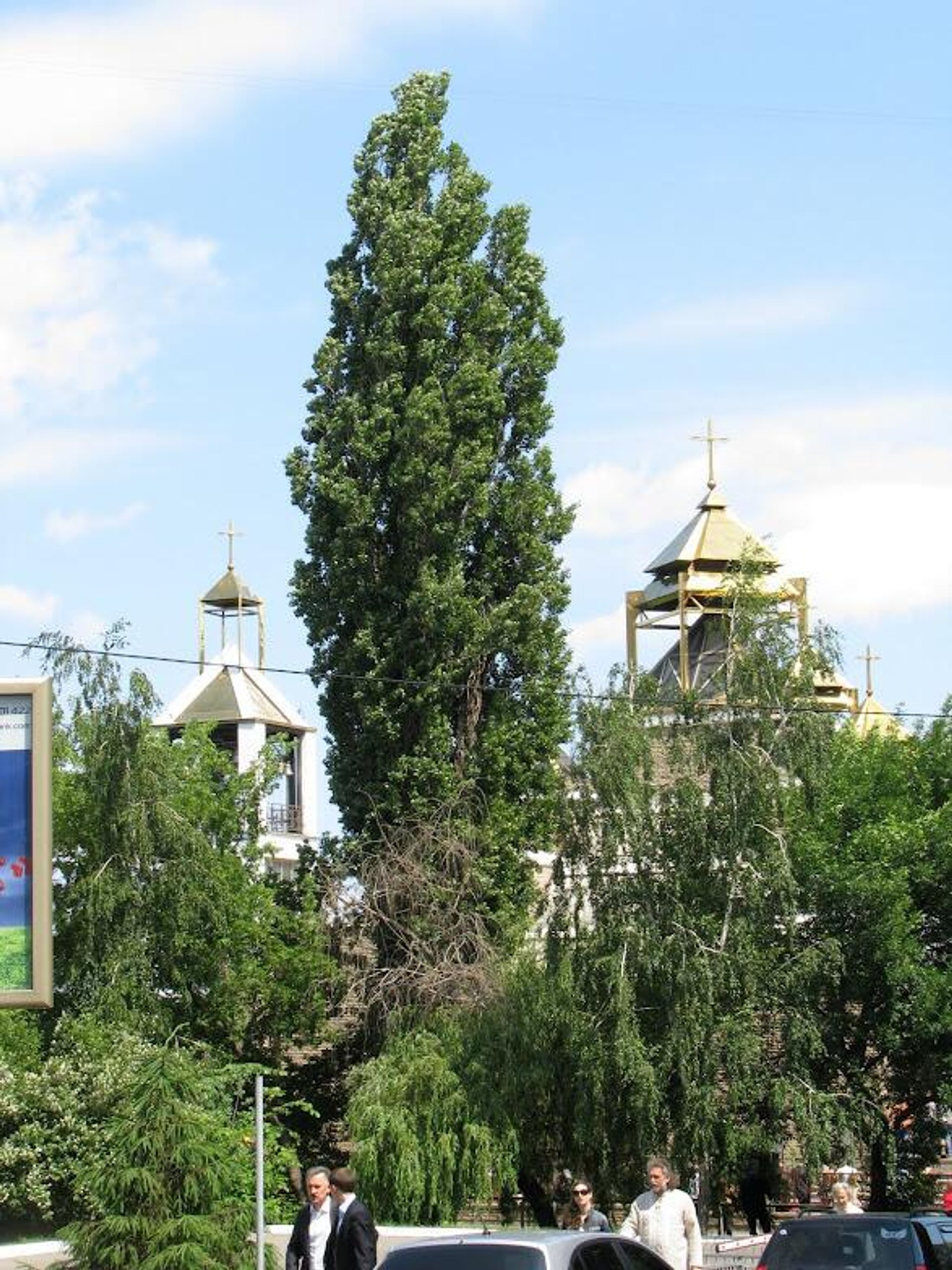 Греко-католический храм Св. Василия в Киеве - РИА Новости, 1920, 07.02.2026
