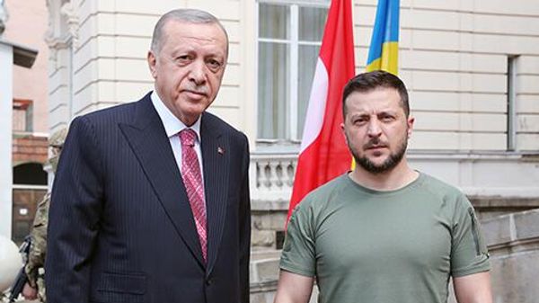 Реджеп Тайип Эрдоган и Владимир Зеленский