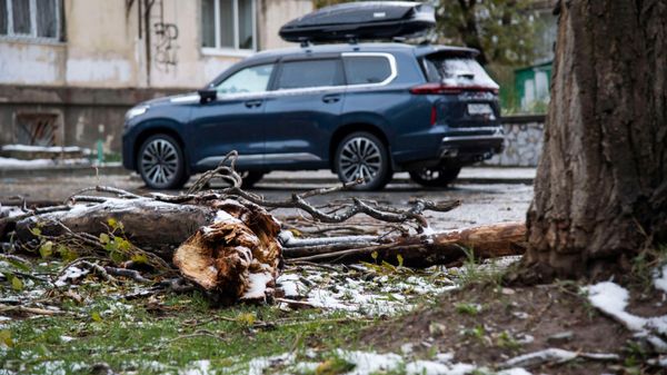 Последствия стихийного бедствия в Крыму