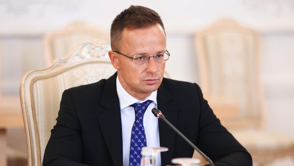 Встреча глав МИД РФ и Венгрии С. Лаврова и П. Сийярто