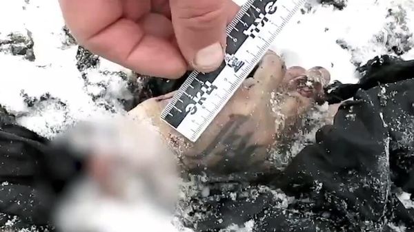 Военно-транспортный самолет Ил-76 потерпел крушение в Белгородской области