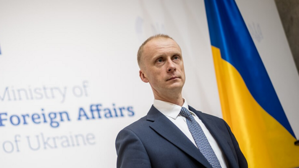 Экс-спикер МИД Украины 