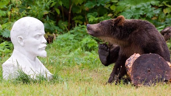 Ленин и медведь