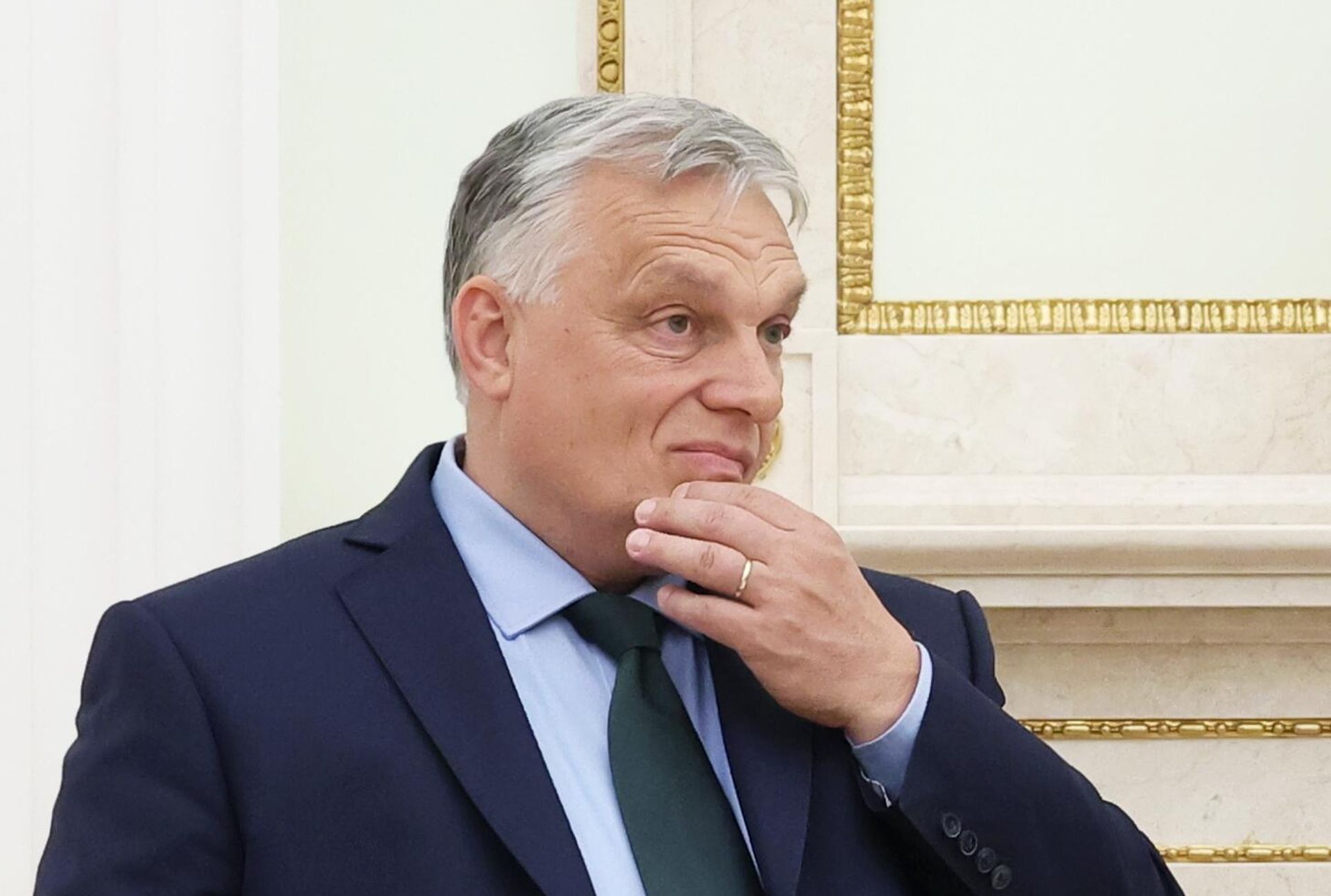 Президент РФ Владимир Путин встретился с премьер-министром Венгрии В. Орбаном - РИА Новости, 1920, 08.01.2025