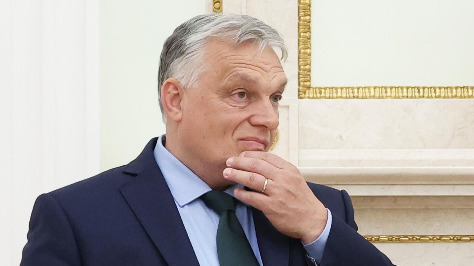 Президент РФ Владимир Путин встретился с премьер-министром Венгрии В. Орбаном - РИА Новости, 1920, 06.07.2024