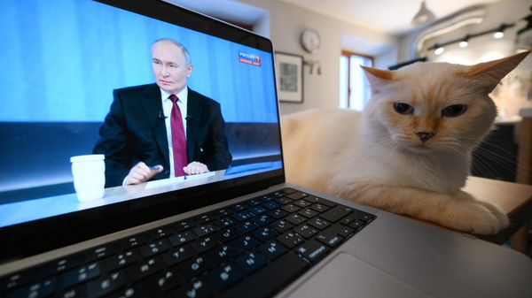 Трансляция программы Итоги года 2024 с Владимиром Путиным Трансляция программы Итоги года 2024 с Владимиром Путиным