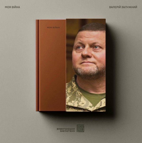 Залужный книга