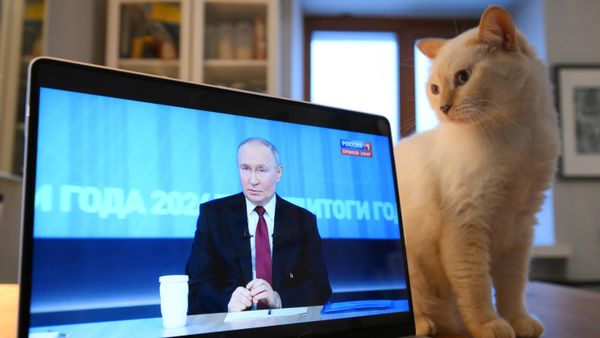 Трансляция программы Итоги года 2024 с Владимиром Путиным Трансляция программы Итоги года 2024 с Владимиром Путиным