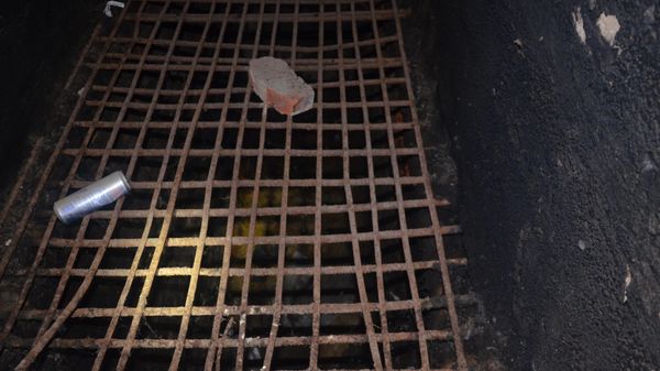 Камеры в концлагере