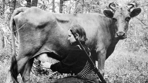 Фотоальбом Победы Фотоальбом Победы