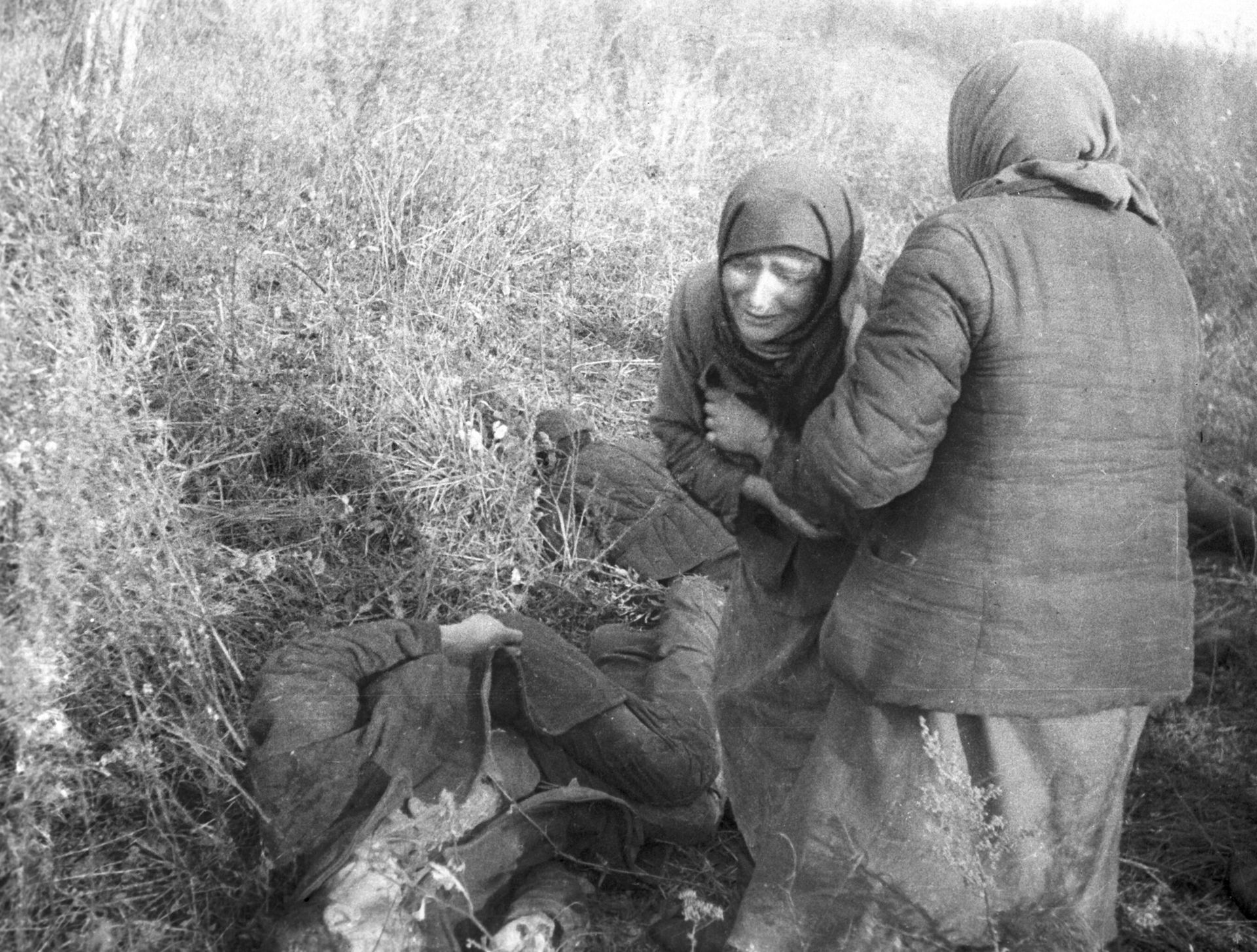 Жители села Ромны опознали тела своих родственников, замученных гитлеровцами во время оккупации - РИА Новости, 1920, 19.05.2025