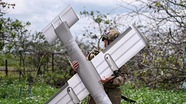 Боевая работа расчета ударного БПЛА Молния группировки войск Центр на Красноармейском направлении СВО