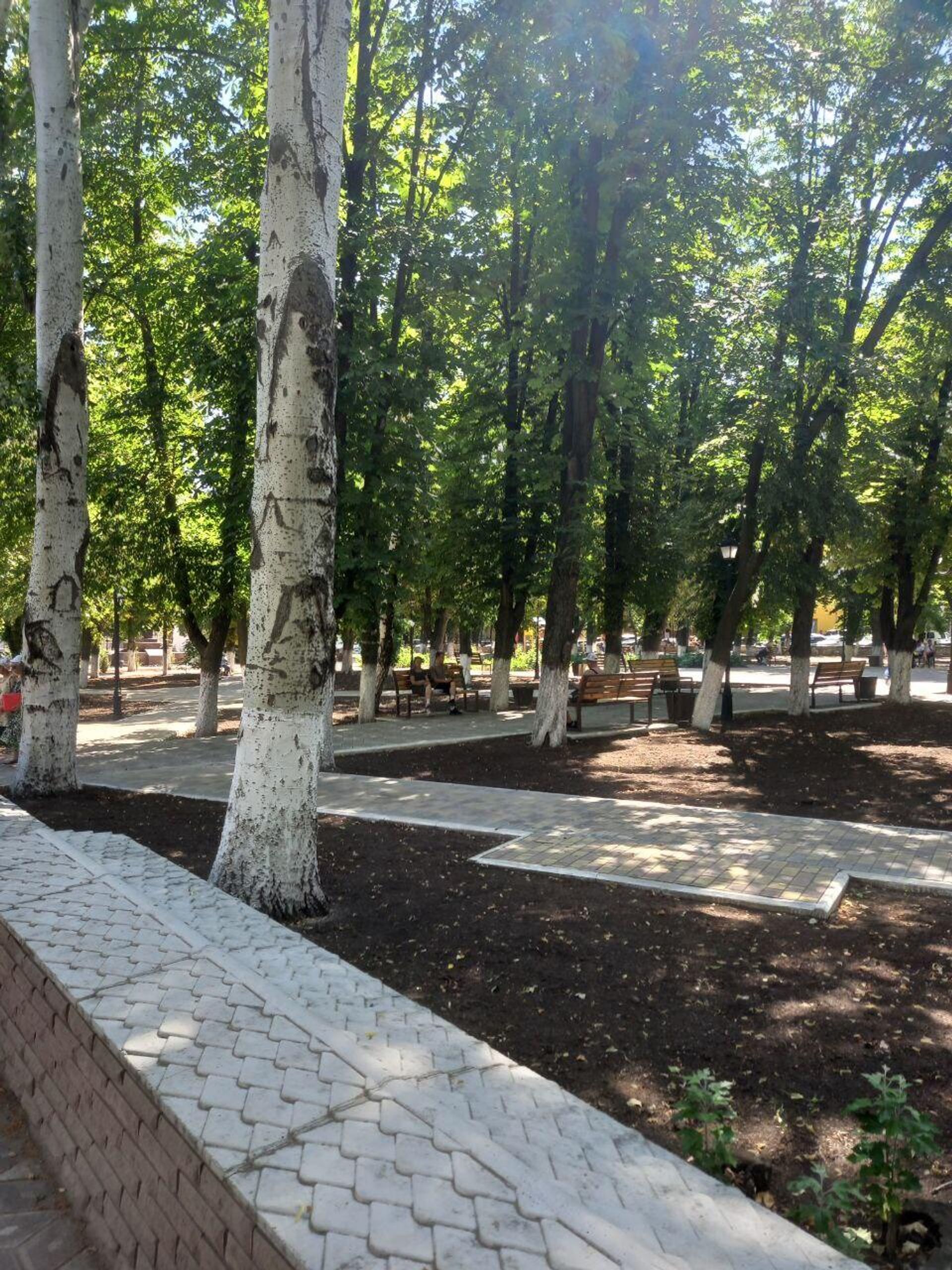 Сквер перед городской администрацией - РИА Новости, 1920, 12.07.2025