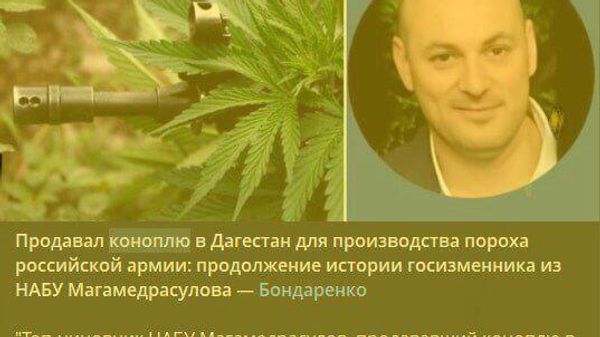 Продавал коноплю для производства пороха в РФ: украинские пропагандисты бьют рекорды реалистичности в своей охоте на антикоррупционеров