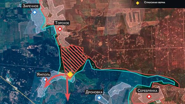 Освобождение страусов — ВС РФ наступают в Серебрянском лесу