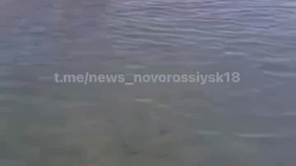 У берегов Краснодарского края обнаружен дрейфующий украинский безэкипажный катер