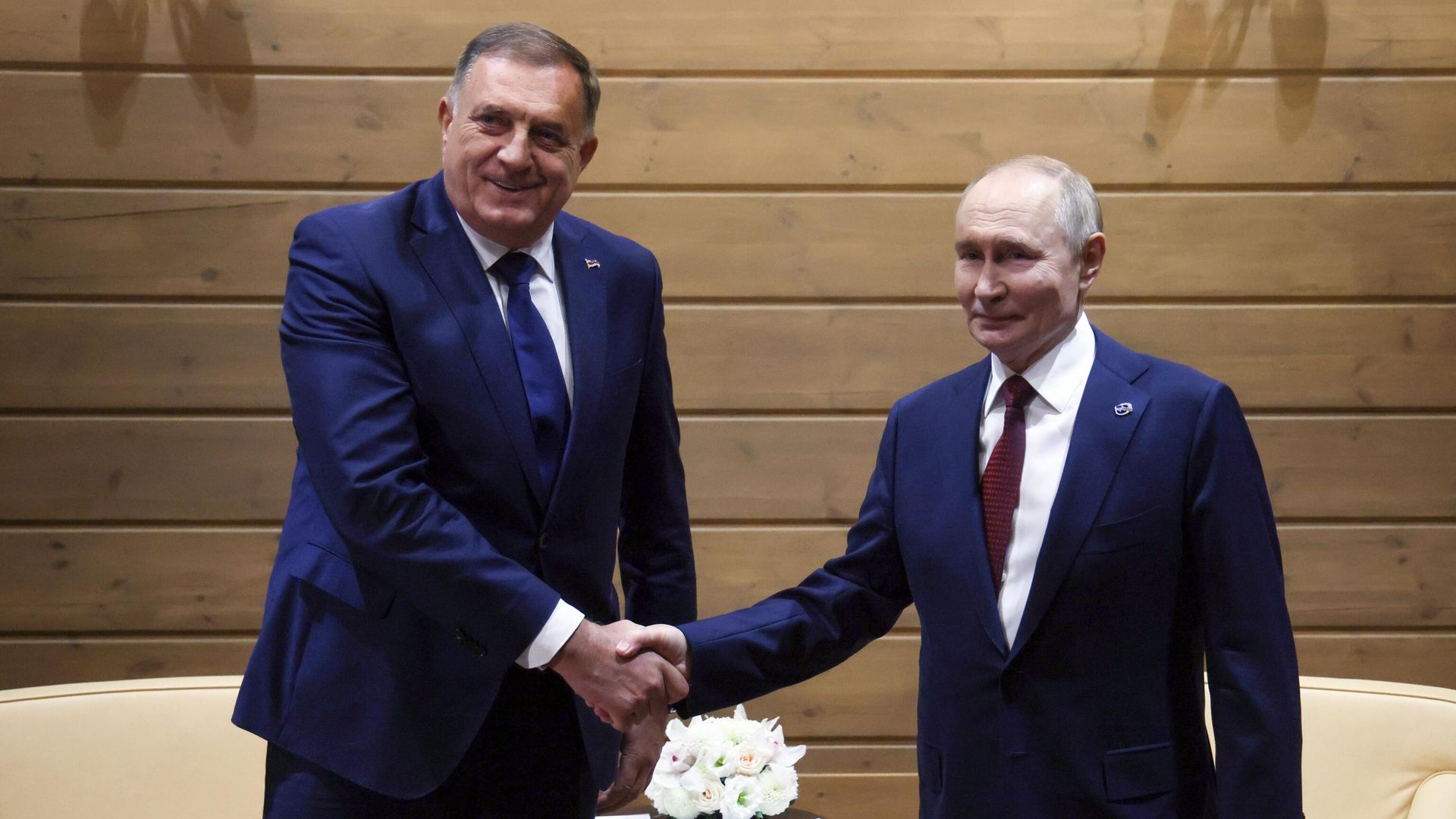 Рабочая встреча президентов Владимира Путина и Милорада Додика - РИА Новости, 1920, 03.10.2025