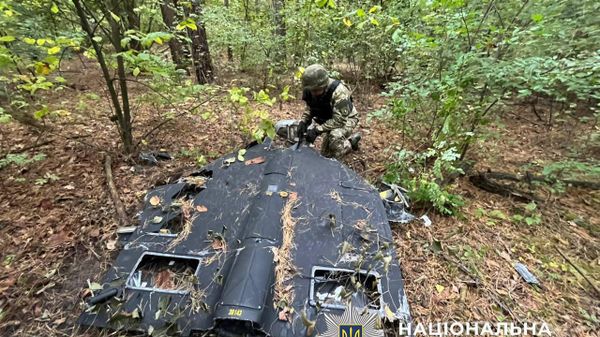 Паззл сошёлся — украинские власти старательно коллекционируют Герани