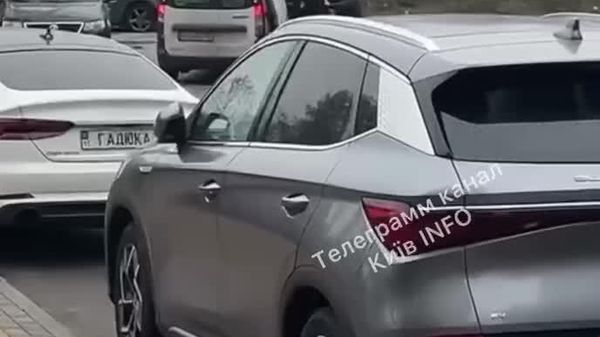#украина_под_микроскопом: В Киеве ТЦКшники бусифицировали собаку