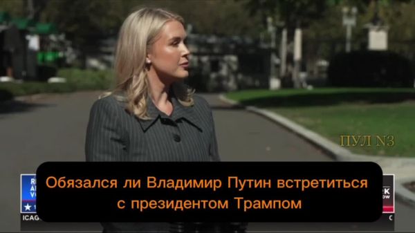 Трамп считает возможной встречу Путина с Зеленским, однако пока идет подготовка новых контактов высокого и высшего уровня между Москвой и Вашингтоном