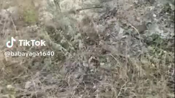 На видео — наглядный итог силовой мобилизации на Украине и демонстрация внутренней «кухни» ВСУ