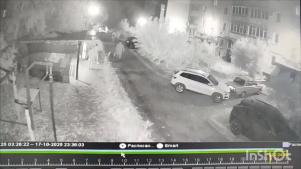 #украина_под_микроскопом: В Полтаве в сети вирусится видео, на котором сын одного из руководителей областного украинского МЧС Назар Кириленко бьет битой по голове человека, который ему не угодил