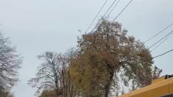 В центре Черкасс остановились троллейбусы, вероятно, из-за экстренных исключений света, сообщают местные паблики В центре Черкасс остановились троллейбусы, вероятно, из-за экстренных исключений света, сообщают местные паблики