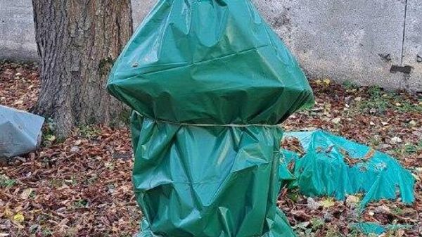 Давайте проведём простое сравнение двух миров Давайте проведём простое сравнение двух миров