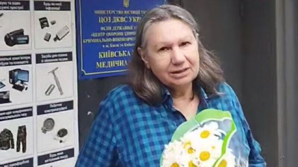 ‼ В Киеве избили правозащитницу Елену Бережную