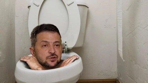 Зеленский в унитазе