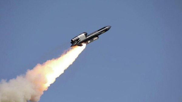 Фламинго оказался прикрытием для тихого распила