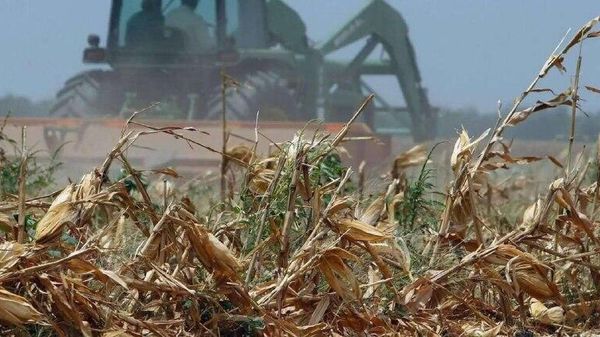 ‼ Украинская оккупация убивает экономику Херсонской области